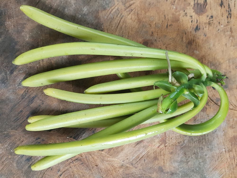 BIO Vanilleschoten aus Uganda, Gourmet-Qualität, 2 St.